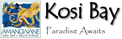 Kosi Bay